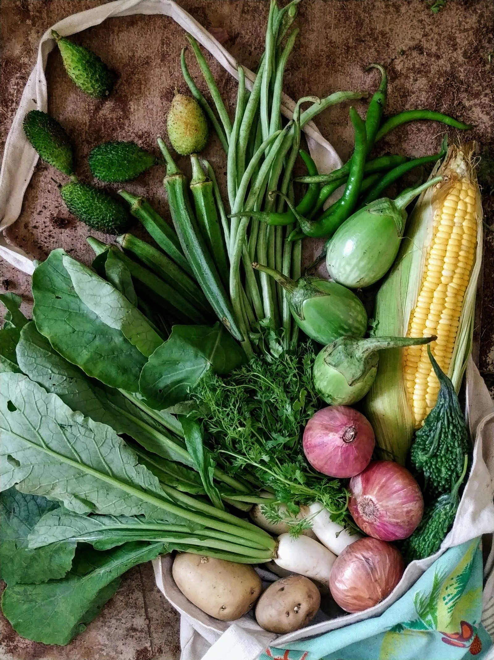 Fresh Indian vegetables for weight loss including bhindi karela leafy greens onions and green chillies in a cloth bag